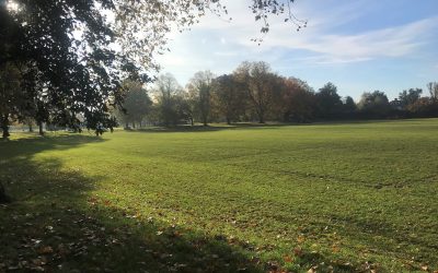 South Park, Fulham SW6